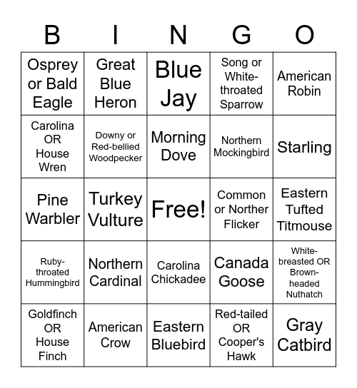 BIRD BINGO Card