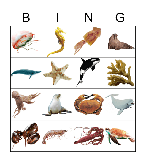 Sea Creatures Bingo Card