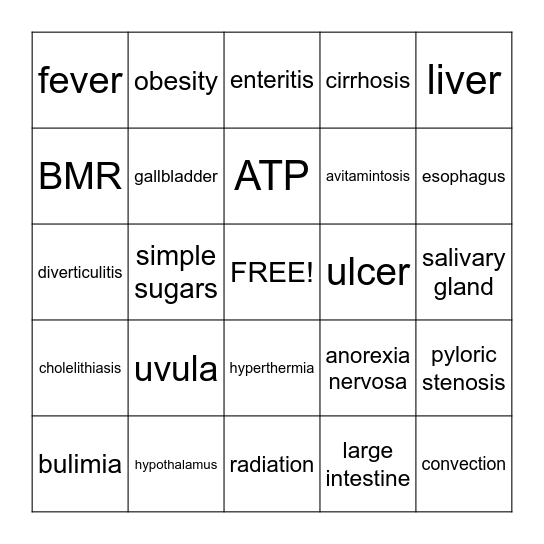 Digestion, Nutrition & Metabolism Bingo Card
