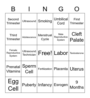 Human Reproduction & Development Bingo  Bingo Card