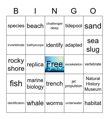 Oceans Bingo Card