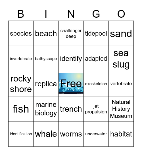 Oceans Bingo Card