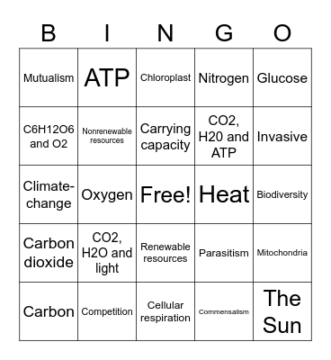 Ecology Bingo Card