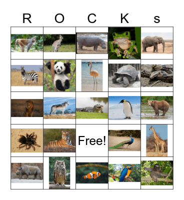 Zoo Animals Bingo Card
