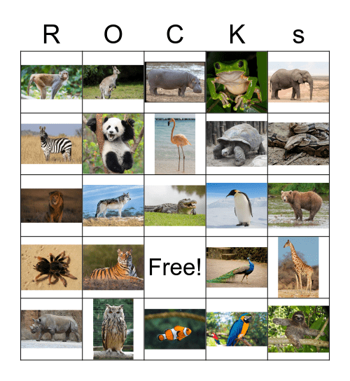 Zoo Animals Bingo Card