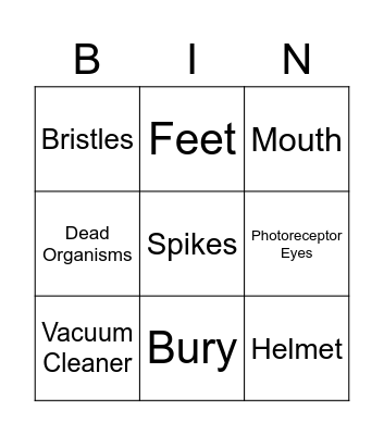 Horseshoe Crab Anatomy Bingo Card