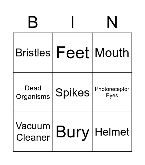 Horseshoe Crab Anatomy Bingo Card