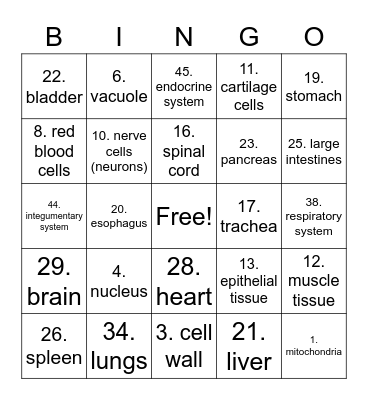 Body System Bingo Card