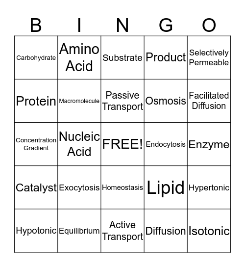 Macromolecules, Enzymes, and Water Bingo Card