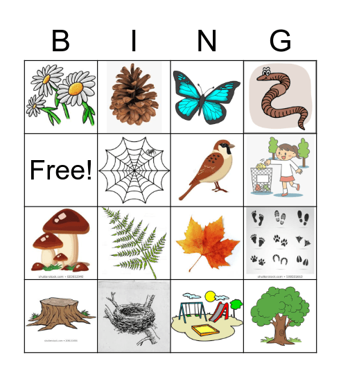 Scavenger Hunt Bingo Card