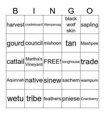 Native American Bingo Card