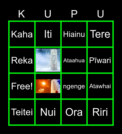 Tuahua Bingo Card