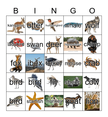 Animals Bingo Card