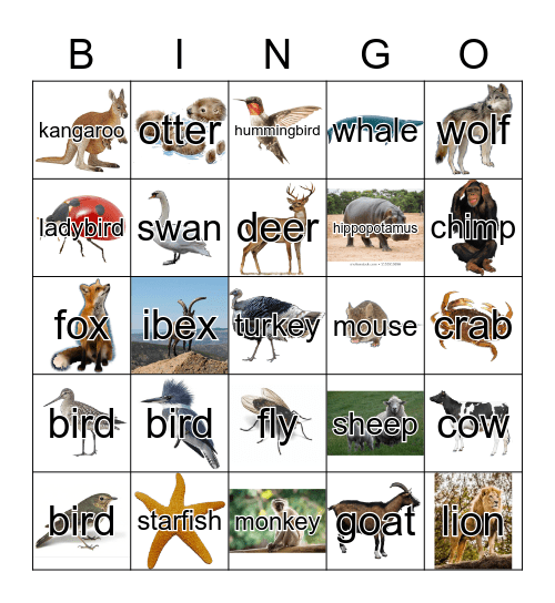 Animals Bingo Card