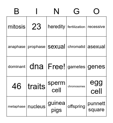 Human Biology Bingo Card