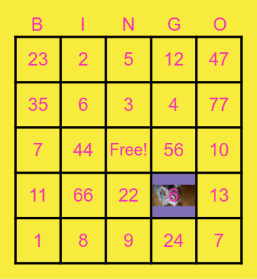 colors Bingo Card