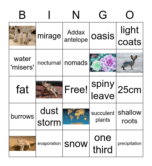Desert Biome Bingo Card