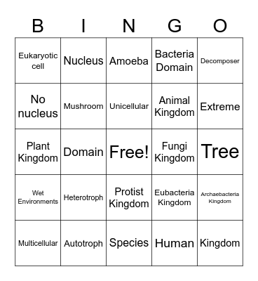 Ecology Bingo Card