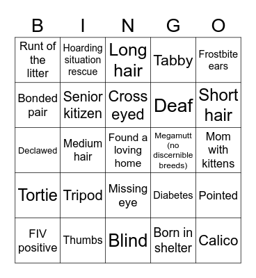 Cat rescue bingo Card