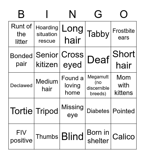 Cat rescue bingo Card