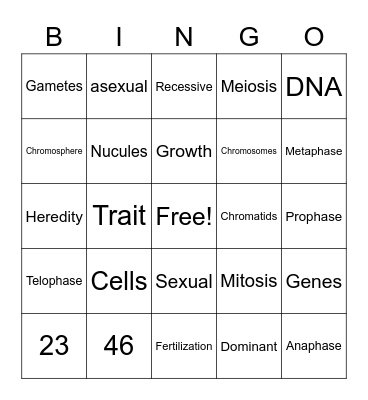 Genetics Bingo Card