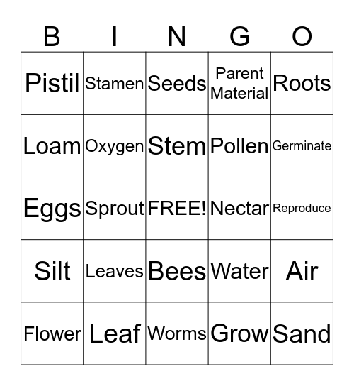 Plants and Soil BINGO! Bingo Card