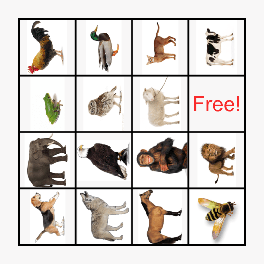 Animal Bingo Card