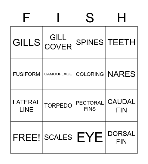 Fishi Adaptations Bingo Card