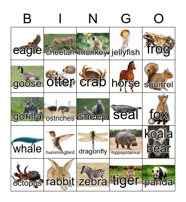 Animals Bingo Card