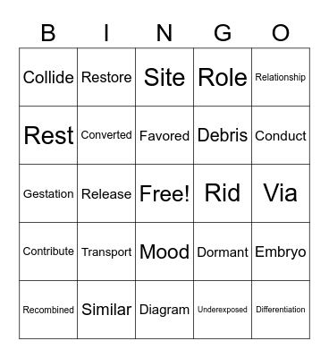 Science Terms Bingo Card
