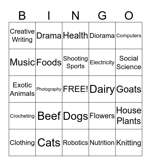 What Can You Do At Fair Bingo Card