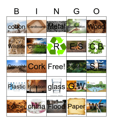 Environment & Materials Bingo Card