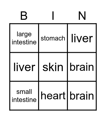 Body Organs Bingo Card