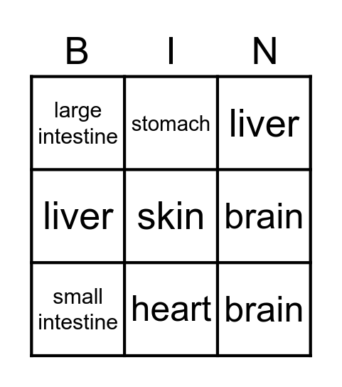 Body Organs Bingo Card