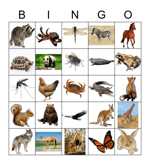 Animals Bingo Card