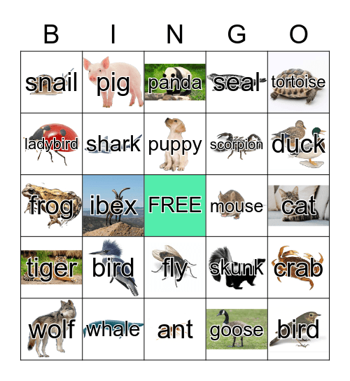 Animals Bingo Card