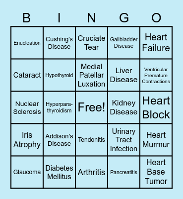 Doggy Diseases Bingo Card