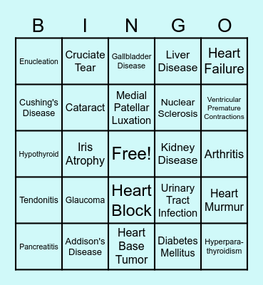 Doggy Diseases Bingo Card