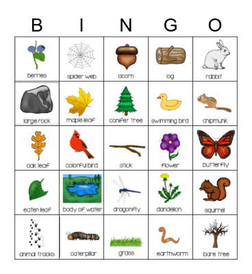 Nature Walk Bingo Card