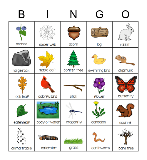 Nature Walk Bingo Card