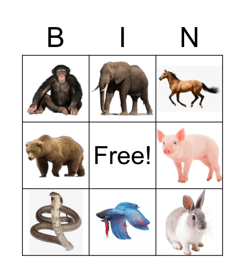 Animal Bingo Card