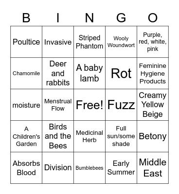 LAMB'S EAR BINGO!! Bingo Card