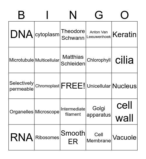 C E L L   B I N G O   Bingo Card