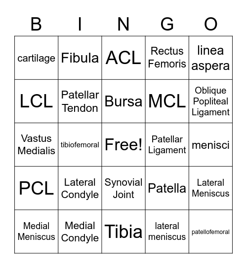 Knee Kinesiology Bingo Card