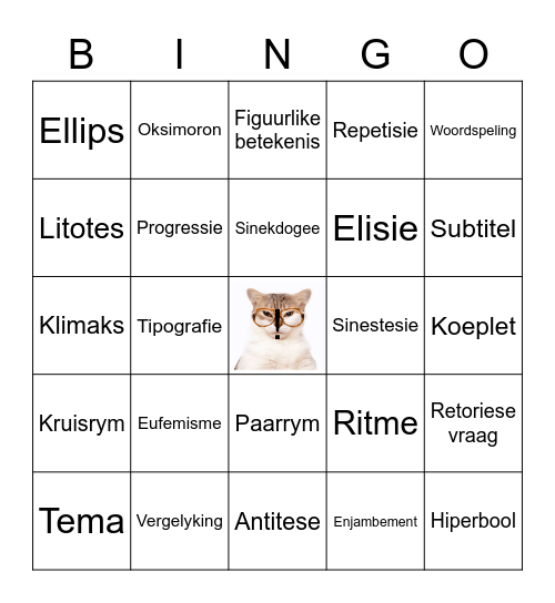 Letterkundige Begrippe Bingo Card