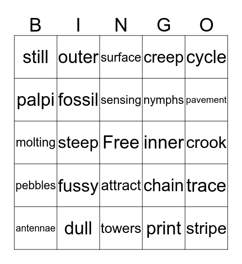 Hungry Hoppers Bingo Card