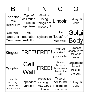 Cell Function Vocabulary Bingo Card