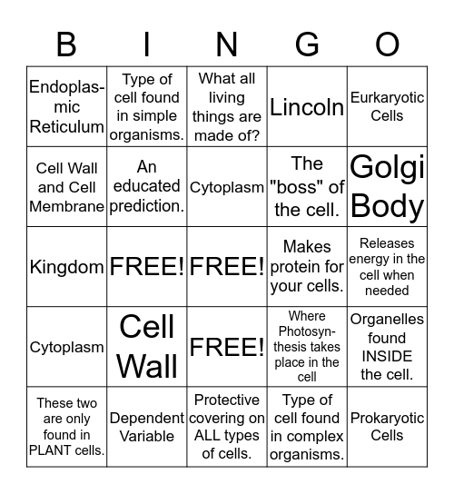 Cell Function Vocabulary Bingo Card