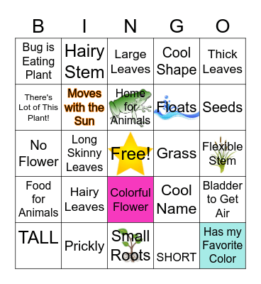 Wetland Plant Adaptation Bingo Card