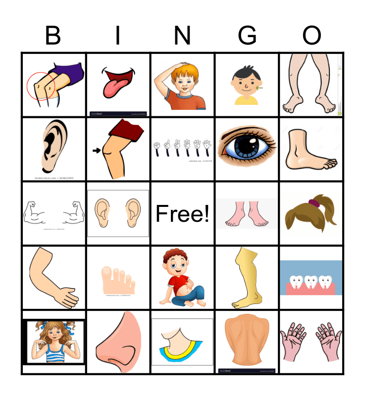 body-bingo-esl-body-parts-bingo-game-teacher-made